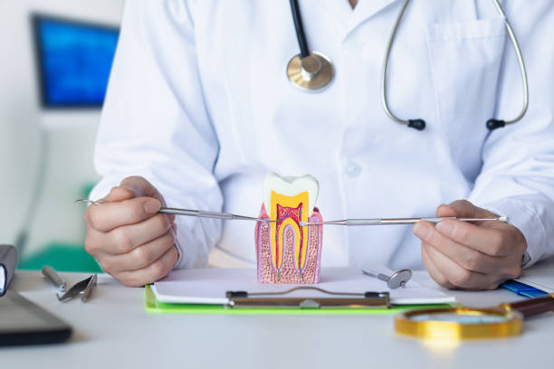 Best Emergency Tooth Extraction in Montebello, NY